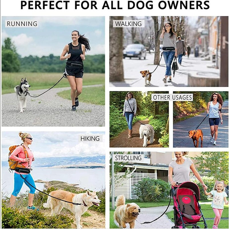 Laisse mains libres pour chien