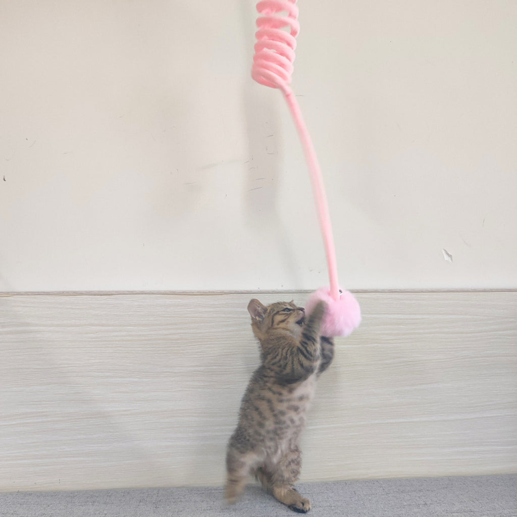 Jouet Chat Interactif à Ventouse - Ressort et Pompon