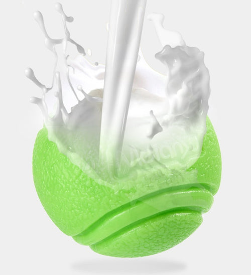 Balle Rebondissante pour Chien - Résistante et Durable