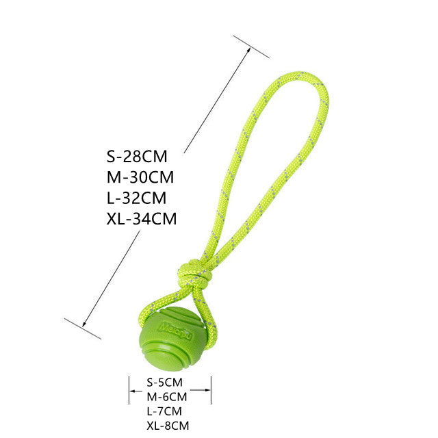 Balle Rebondissante pour Chien - Résistante et Durable