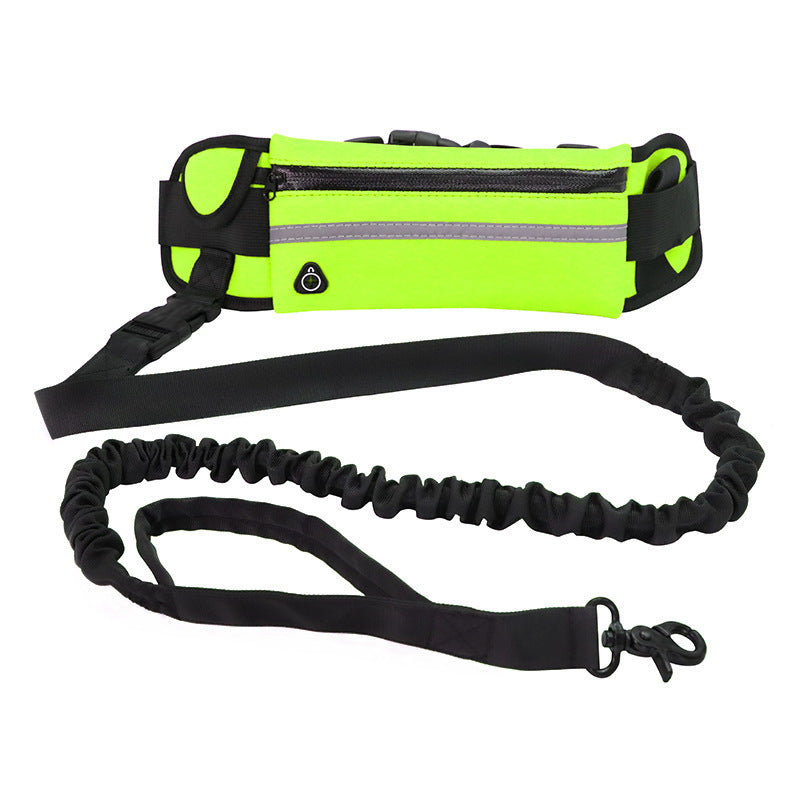 Laisse mains libres pour chien