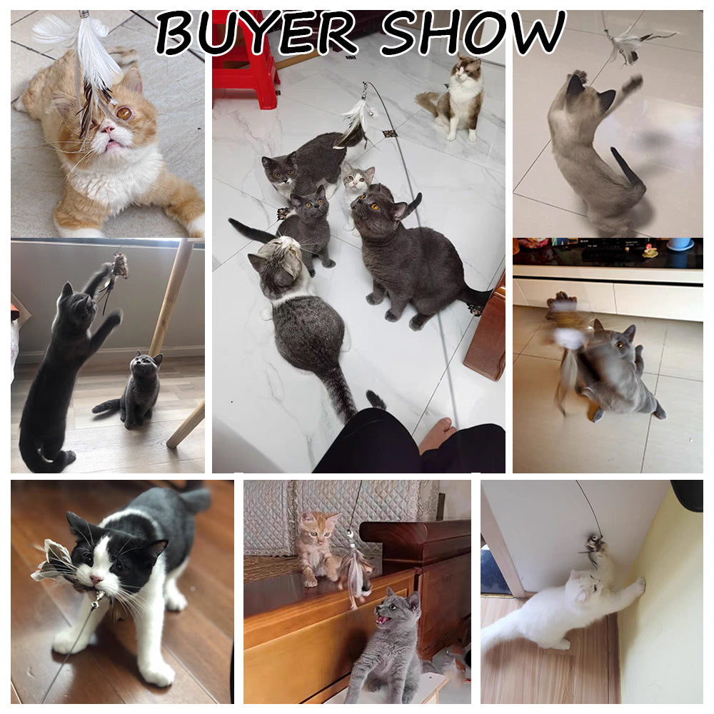 Jouet stimulant pour chat – Amusez et éveillez votre compagnon