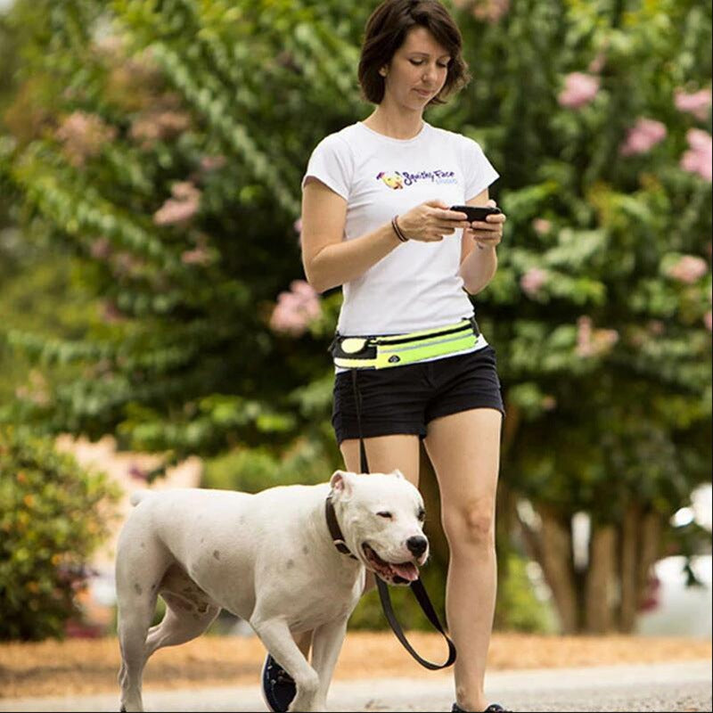 Laisse mains libres pour chien