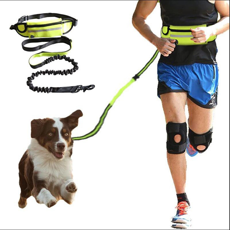 Laisse mains libres pour chien
