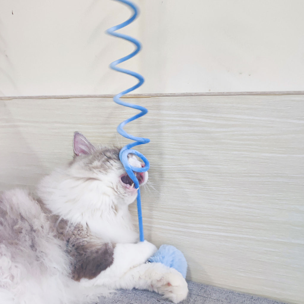 Jouet Chat Interactif à Ventouse - Ressort et Pompon