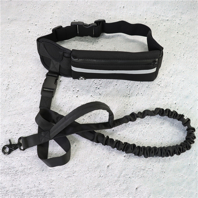 Laisse mains libres pour chien