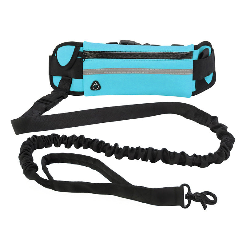 Laisse mains libres pour chien