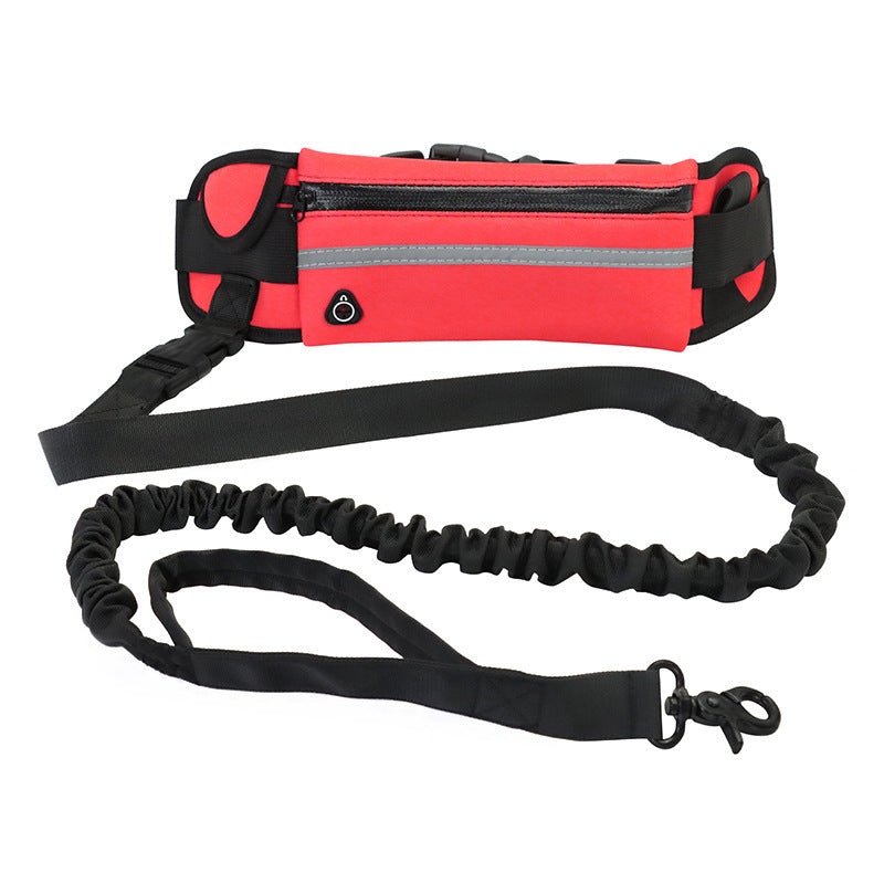 Laisse mains libres pour chien