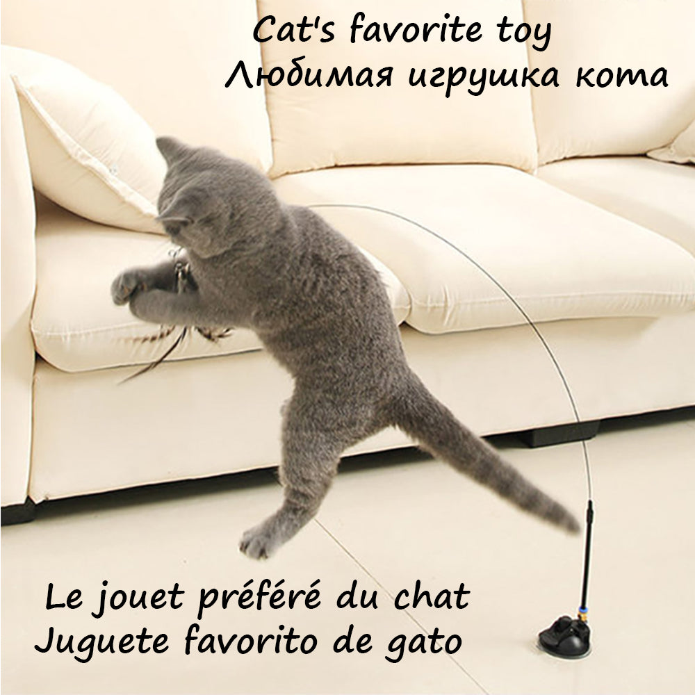 Jouet stimulant pour chat – Amusez et éveillez votre compagnon